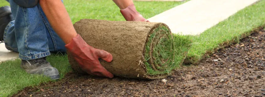 Fachgerechte Gartenarbeiten in Minderlittgen, Trier