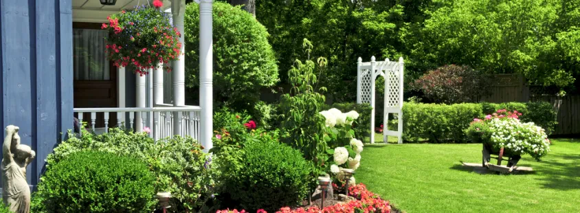 Professionelle Gartengestaltung und Pflege
