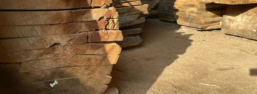 Fachgerechte Holztrocknung in Bielefeld