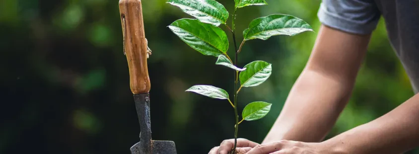Professioneller Gartenbau Landkreis Neumarkt in der Oberpfalz