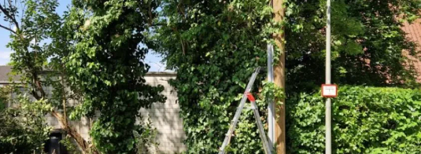 Gartenpflege, Zaunbau und Sichtschutz in Ismaning und Umgebung