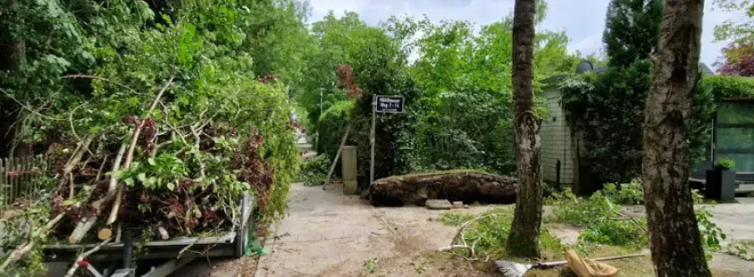 Hausmeister- und Gartenprofi in Ismaning, münchenweit