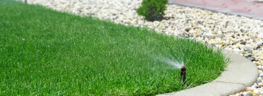 Professioneller Hausmeisterservice mit Gartenpflege in Reiskirchen und Umgebung
