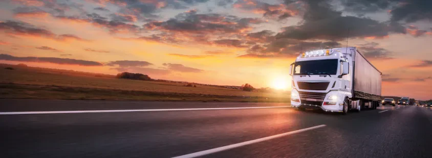 Professioneller Palettentransport in Sachsen und Umgebung