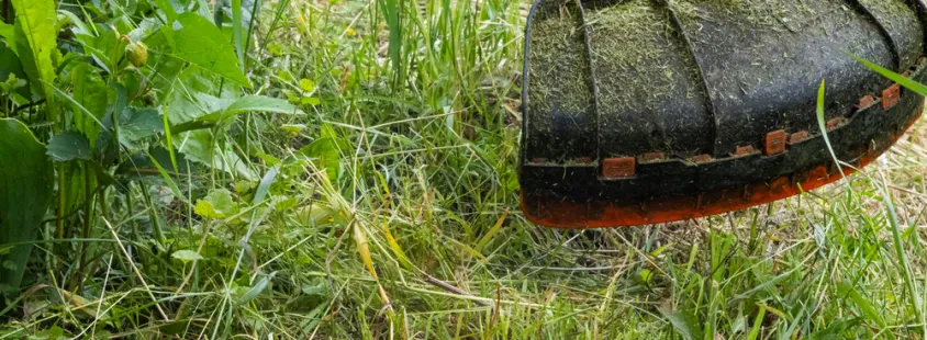 Günstiger Rasenpflege- und Mähenservice im Großraum Germering