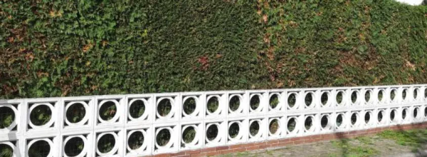 Gartenneuanlage und Pflanzarbeiten in Gerolsheim und Umgebung
