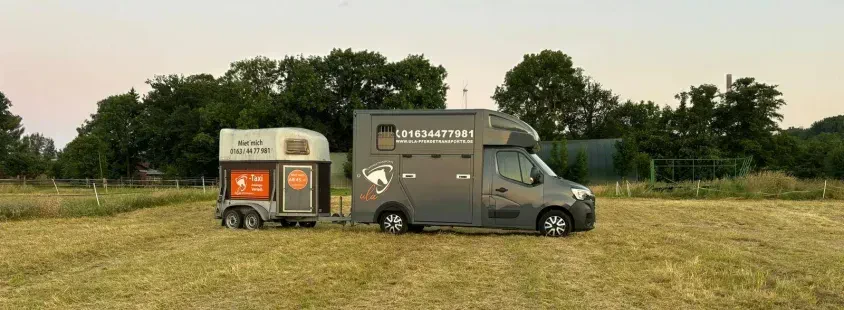 Professioneller Pferdetransport und Pferdetaxi im Gelsenkirchenraum