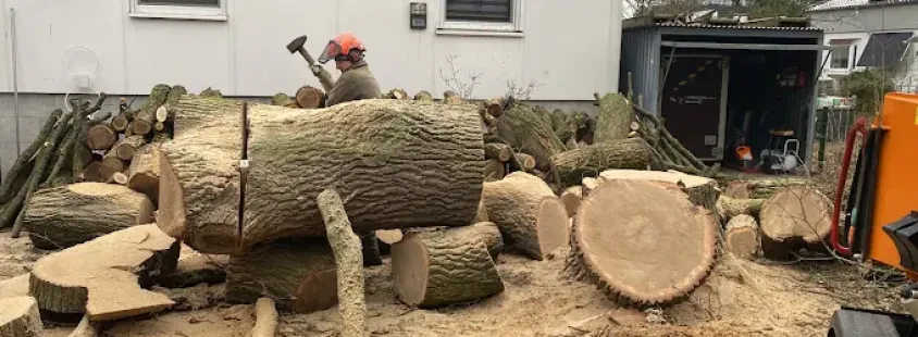 Baumfällung und Garten-Landschaftsbau in Erkner und Umgebung