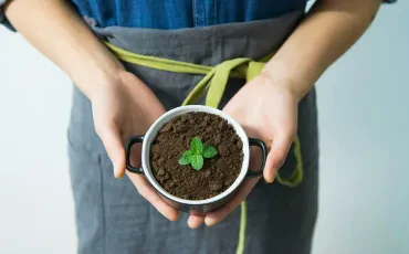 Was bieten Bio- und Ökoläden?