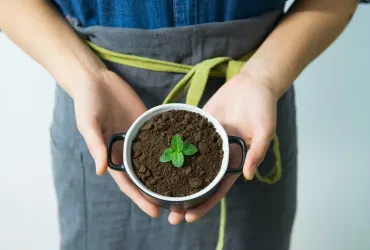 Was bieten Bio- und Ökoläden?