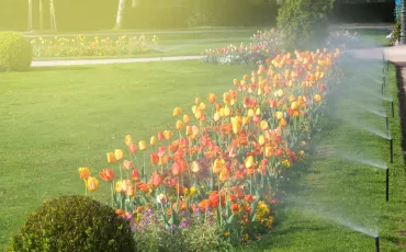 Gartenbau: Ihr grünes Paradies