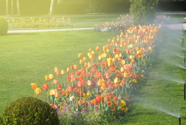 Gartenbau: Ihr grünes Paradies
