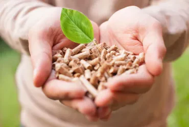 Vorteile des Heizens mit Holzbiomasse