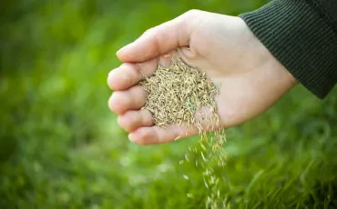 Rasen säen, Vorbereitung leicht gemacht, so starten Sie richtig in die Gartensaison