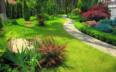 Garten und Landschaftsbau: Wenn der Traum vom eigenen Garten auf die Realität trifft