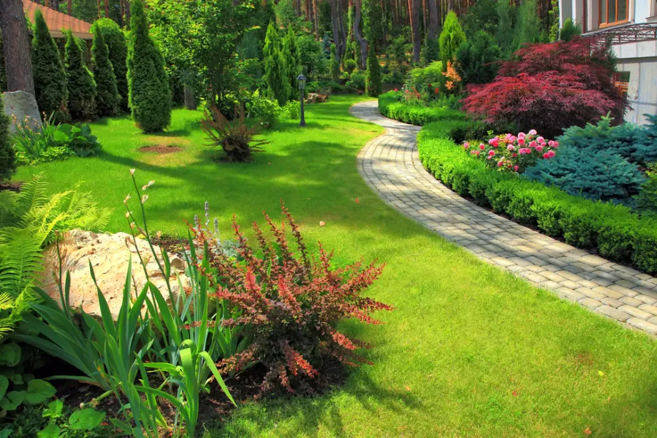 Garten und Landschaftsbau: Wenn der Traum vom eigenen Garten auf die Realität trifft