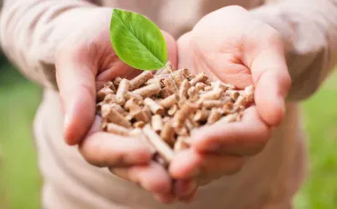 Mit Biomasse erneuerbare Energie in eine nachhaltige Zukunft heizen