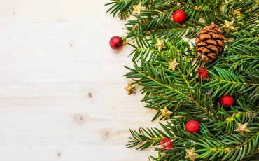 Weihnachtsbaum umweltfreundlich als neue nachhaltige Tradition
