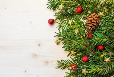 Weihnachtsbaum umweltfreundlich als neue nachhaltige Tradition
