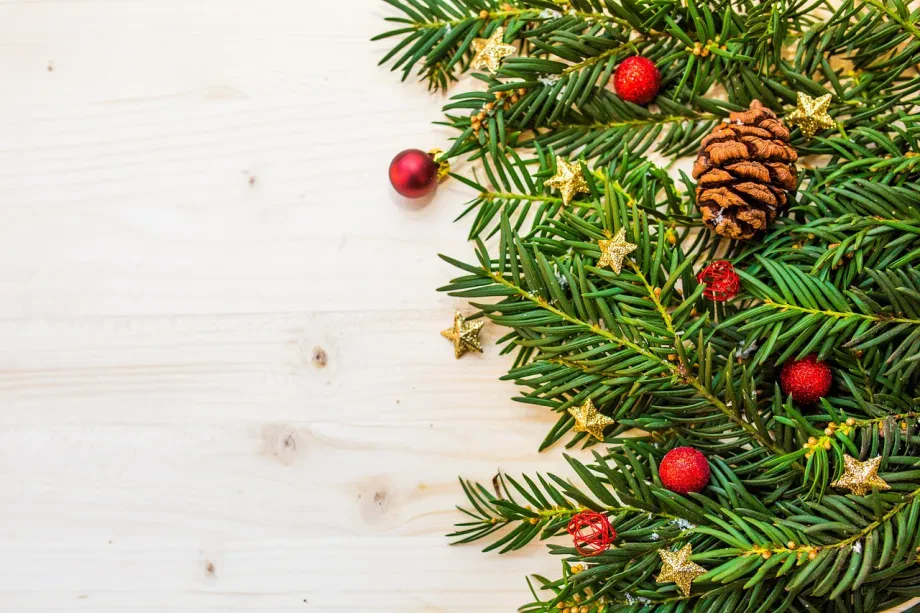 Weihnachtsbaum umweltfreundlich als neue nachhaltige Tradition