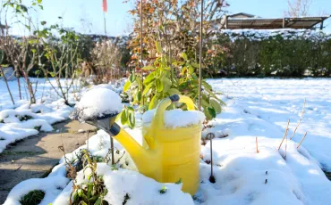 Wie Sie Ihren Garten auf Winter vorbereiten und begleiten