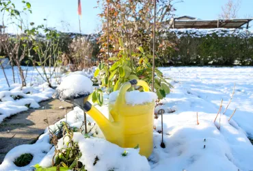 Wie Sie Ihren Garten auf Winter vorbereiten und begleiten