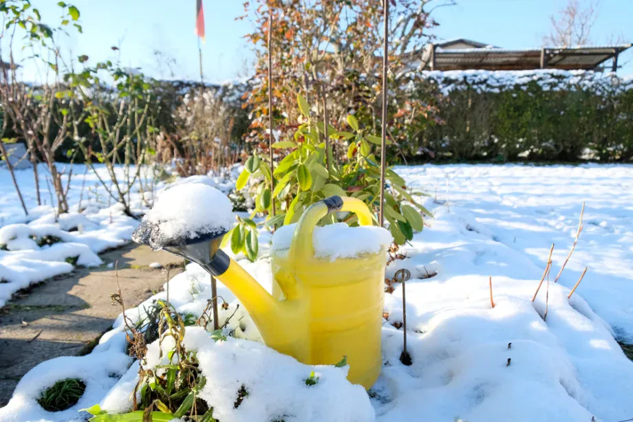 Wie Sie Ihren Garten auf Winter vorbereiten und begleiten