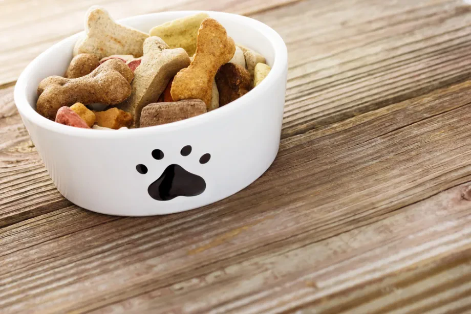 Tierbedarf Online Shop: Warum moderne Haustierhaltung heute digitale Lösungen braucht