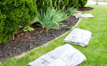 Gartenarbeiten im Frühling für lebendige Gartenkraft und neue Jahresenergie