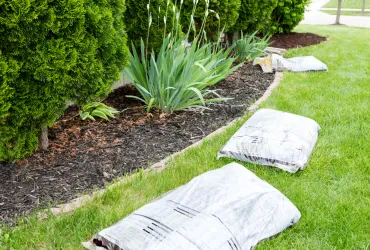 Gartenarbeiten im Frühling für lebendige Gartenkraft und neue Jahresenergie