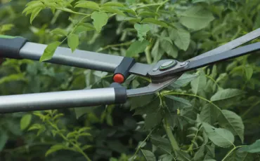 Grundausstattung Gartenwerkzeug für klare Strukturen und kraftvolles Wachstum im Gartenjahr