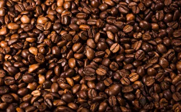 Kaffeearten – unsere tägliche Begleiter voller Geschmack, Kultur und Lebensrituale
