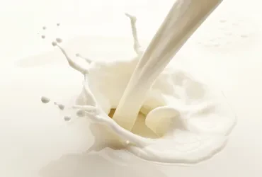 Milcherzeugnisse und ihre wirtschaftliche Bedeutung für Anbieter hochwertiger Milchprodukte
