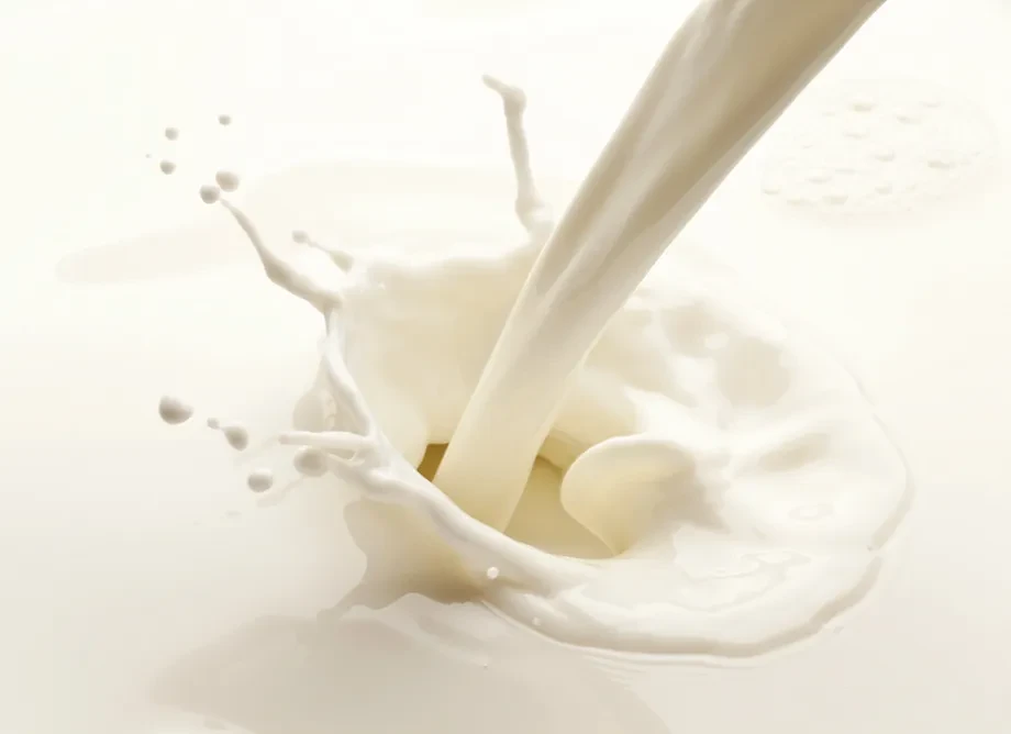 Milcherzeugnisse und ihre wirtschaftliche Bedeutung für Anbieter hochwertiger Milchprodukte