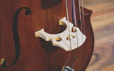Hersteller und Reparaturbetriebe von Musikinstrumenten: Handwerk, Klang und Instrumentenpflege