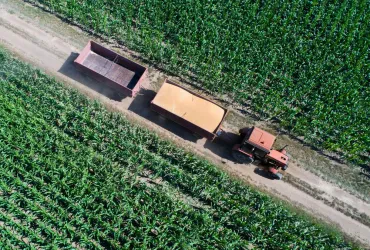 Landwirtschaftliche Genossenschaften: Zusammenarbeit, Produktion und regionale Landwirtschaft
