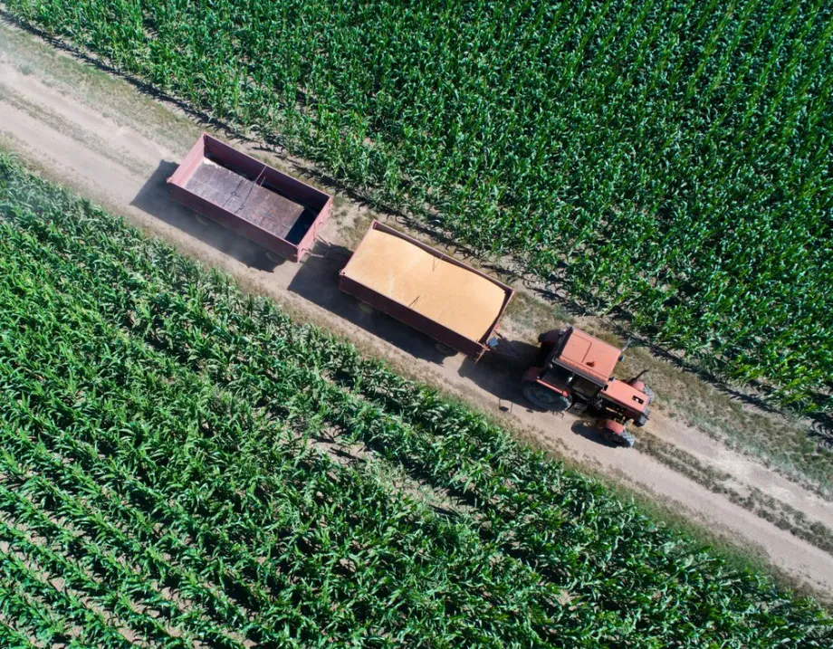Landwirtschaftliche Genossenschaften: Zusammenarbeit, Produktion und regionale Landwirtschaft