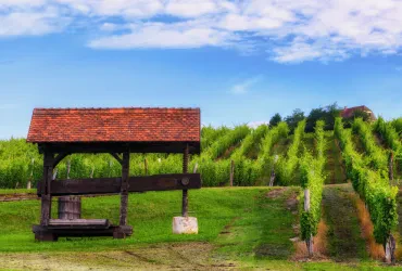Landtourismus: Erholung, Naturerlebnis und regionale Kultur