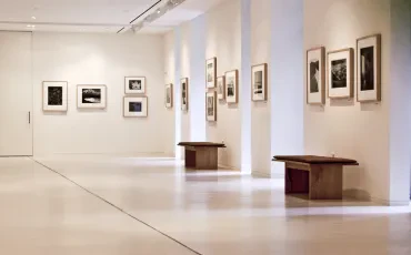 Museen und Galerien: Kulturvermittlung, Ausstellung und gesellschaftliche Bedeutung