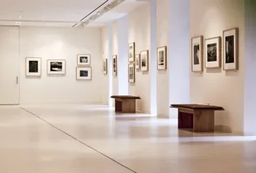 Museen und Galerien: Kulturvermittlung, Ausstellung und gesellschaftliche Bedeutung