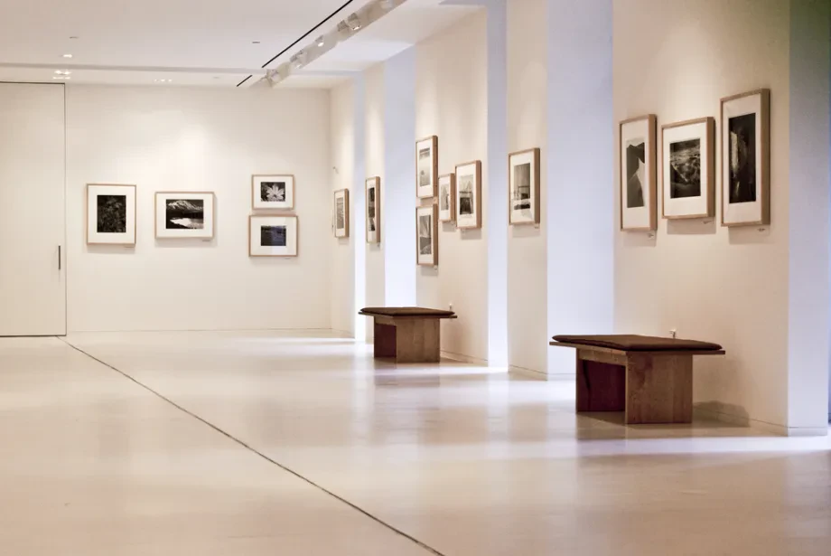 Museen und Galerien: Kulturvermittlung, Ausstellung und gesellschaftliche Bedeutung