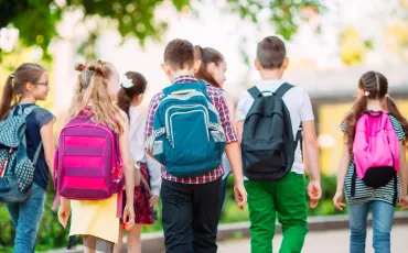 Gymnasien, Realschulen und Hauptschulen: Bildungswege im deutschen Schulsystem verstehen