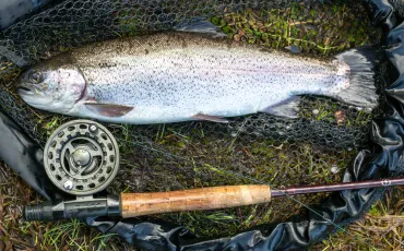 Fischzucht: Aquakultur, Produktion und nachhaltige Lebensmittelversorgung