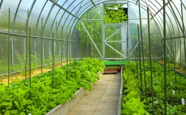 Gewächshaus für den Garten