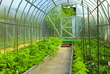 Gewächshaus für den Garten