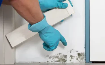 Ursachen für Schimmelbildung im Gebäude