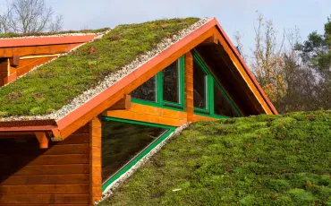 Gründach: Kosten und Aufbau eines Gründachs
