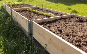 Gemüsegarten: Planung und Gestaltung eines Nutzgartens