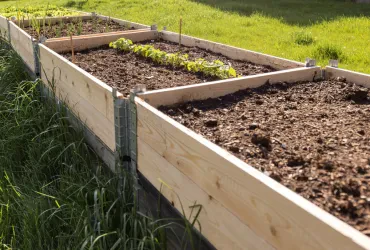 Gemüsegarten: Planung und Gestaltung eines Nutzgartens
