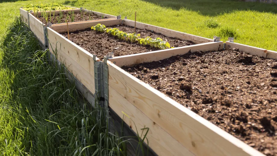 Gemüsegarten: Planung und Gestaltung eines Nutzgartens